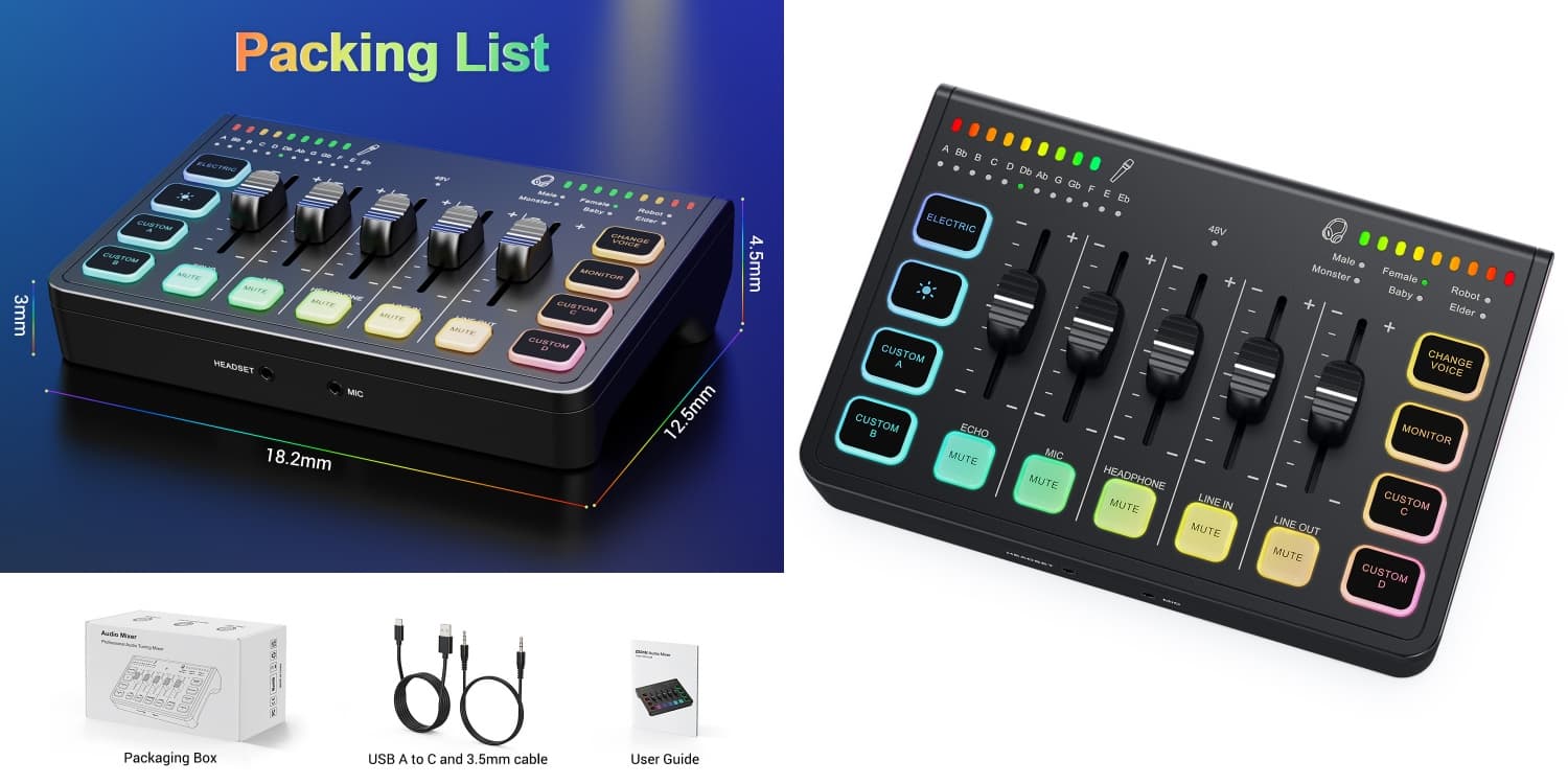 2.4G Dual Channel Wireless Microphone 2.4G Dual Channel Wireless Microphone